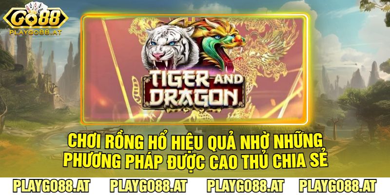 Chơi Rồng Hổ Hiệu Quả Nhờ Những Phương Pháp Được Cao Thủ Chia Sẻ