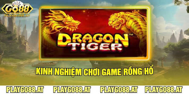 Kinh Nghiệm Chơi Game Rồng Hổ