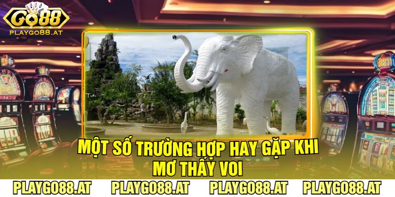 Một Số Trường Hợp Hay Gặp Khi Mơ Thấy Voi