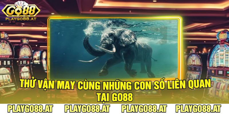 Thử Vận May Cùng Những Con Số Liên Quan Tại Go88